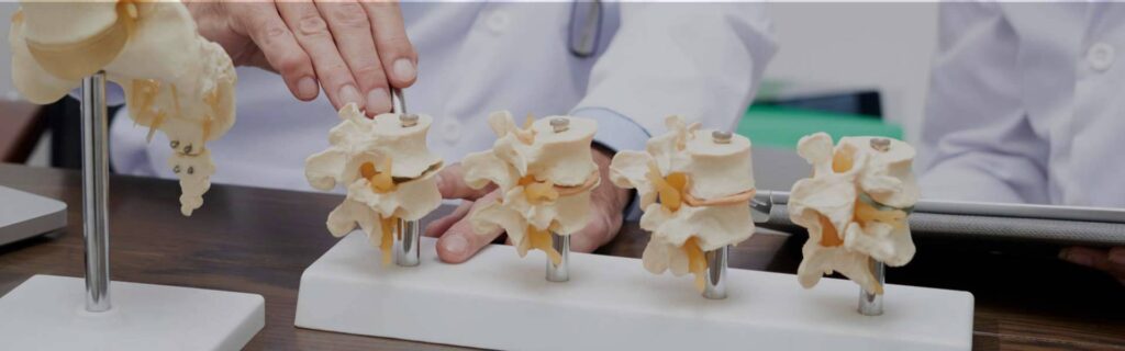 display-of-spinal-column