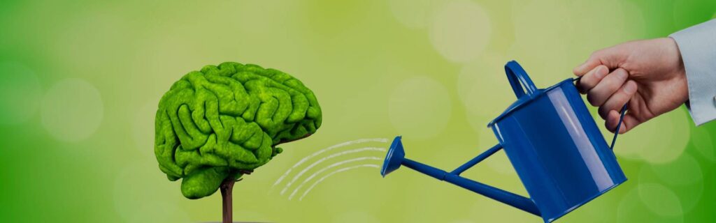 tree-shaped-like-brain